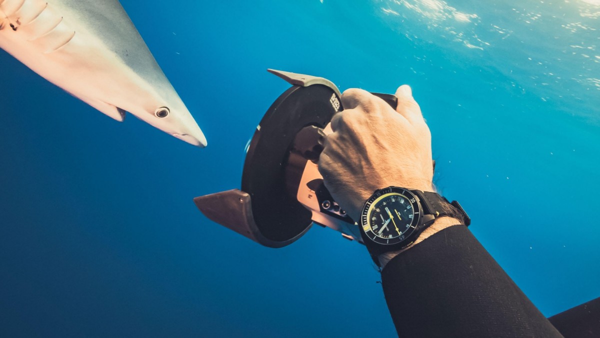 Watch of the Week Ulysse Nardin Diver Lemon Shark Men s Journal