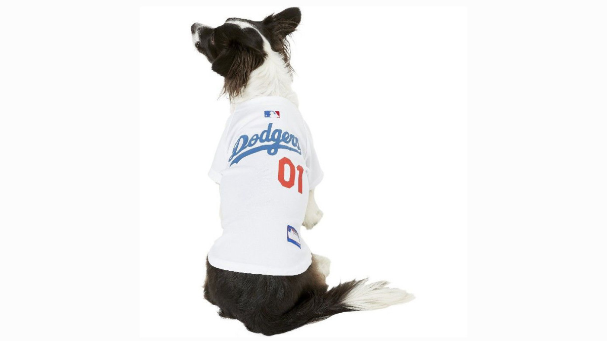 Share Your Team Pride with Your Favorite Furry Fan at Chewy - Men's Journal