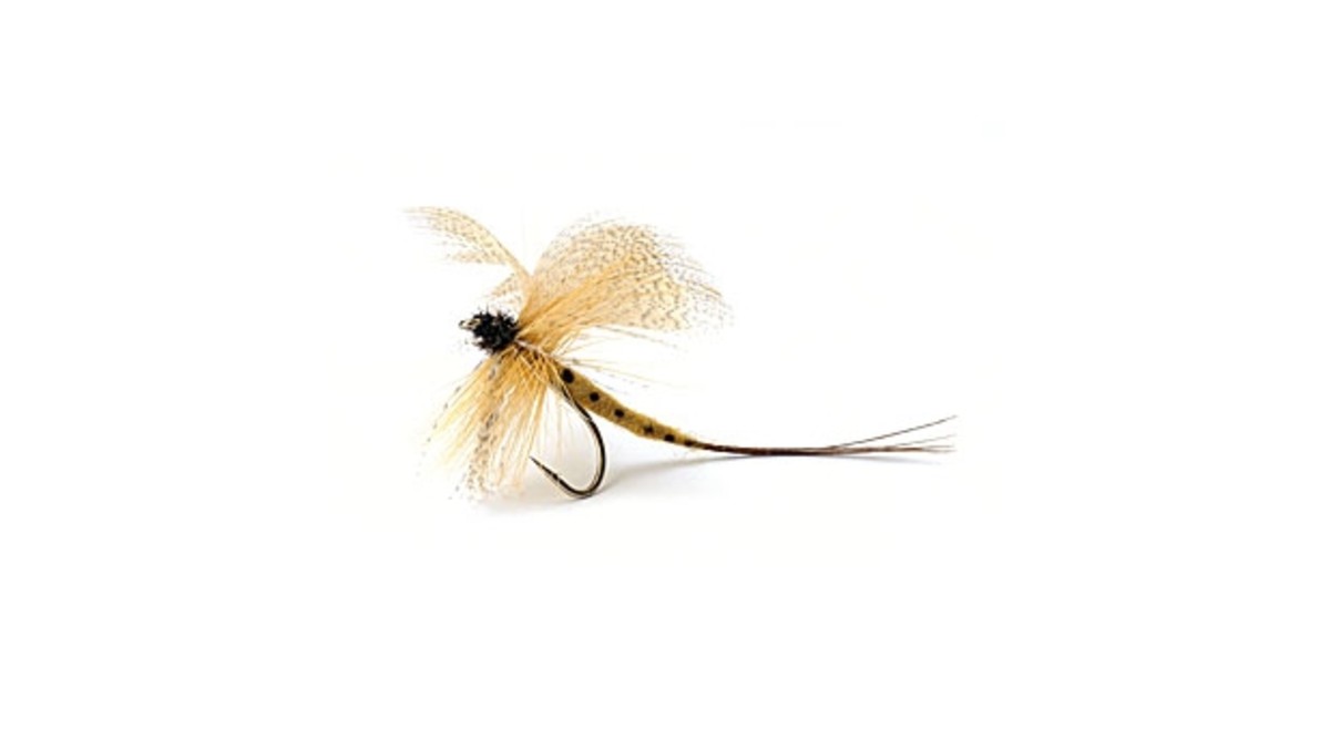 Everything You Need for Fly Fishing - Men's Journal