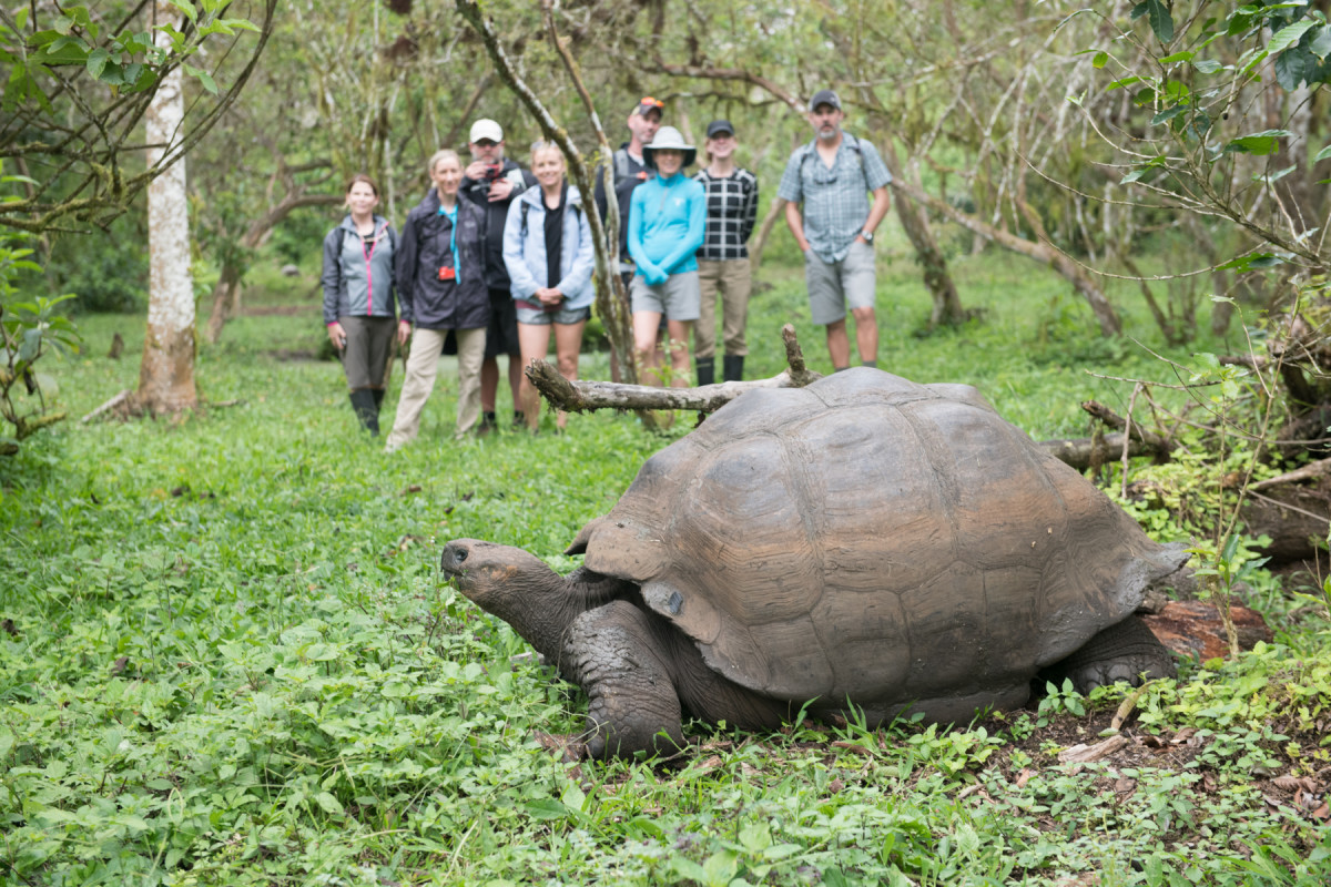 Breathtaking Photos from the Galapagos Dream Retreat - Men's Journal