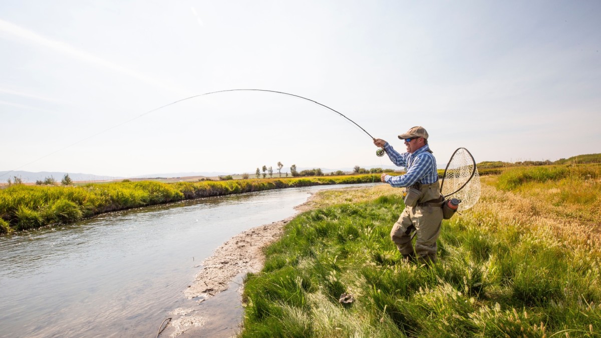 Colorado Fly Fishing: Top Spring Hatches - Mountain America Jerky