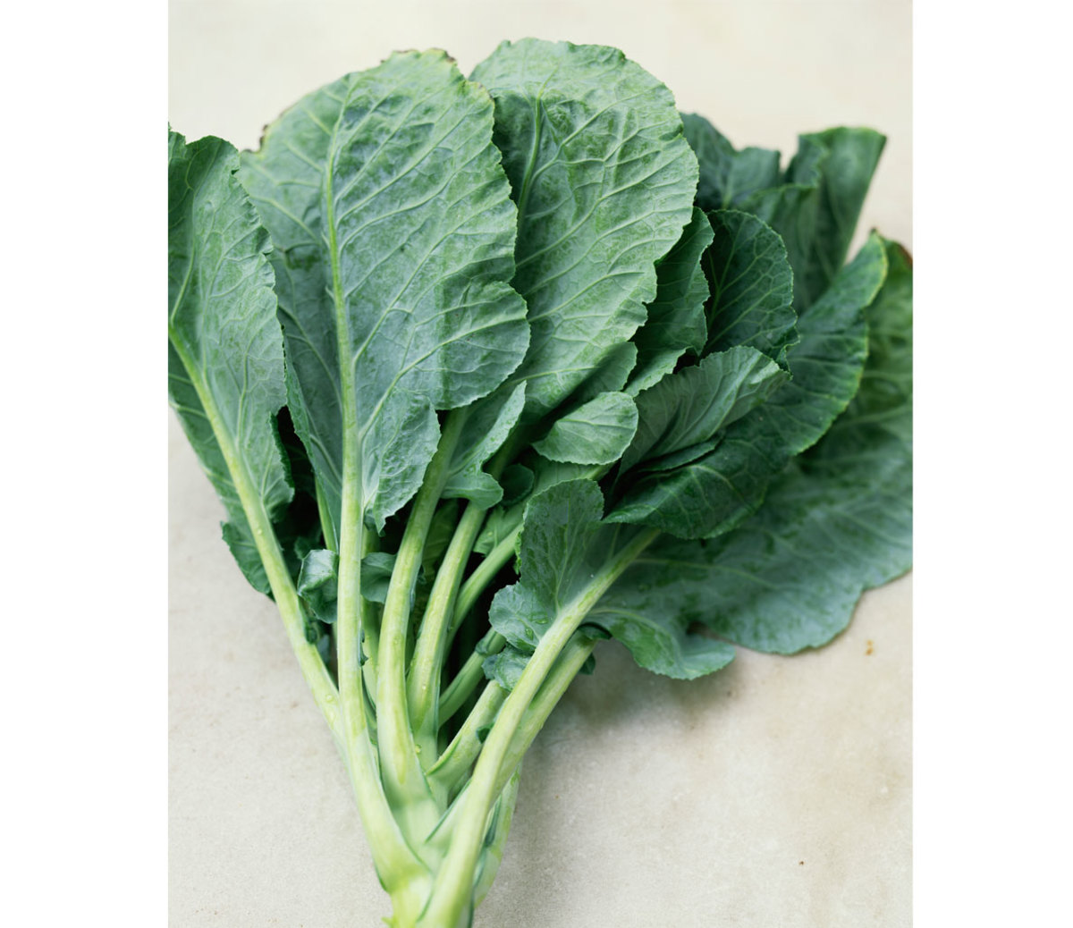 15+ Best Green Vegetables: Powerhouse Greens You Need to Know