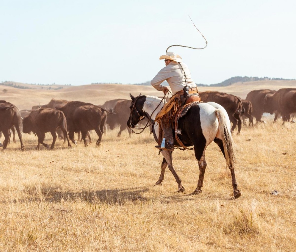 Best Wild Animal Encounters in America | Men's Journal - Men's Journal