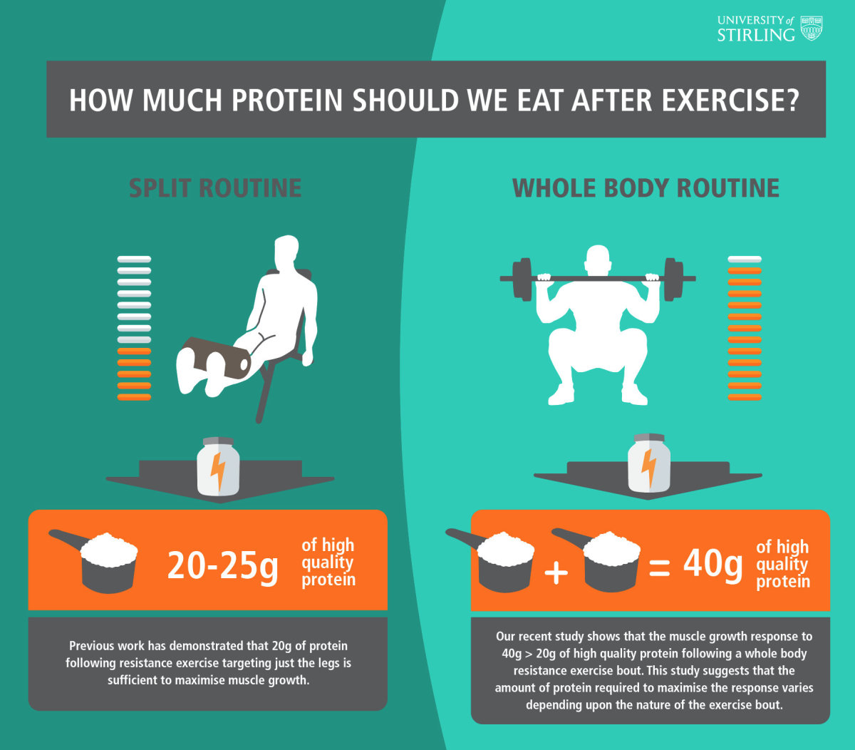 Why Protein Is Important for Workout Recovery