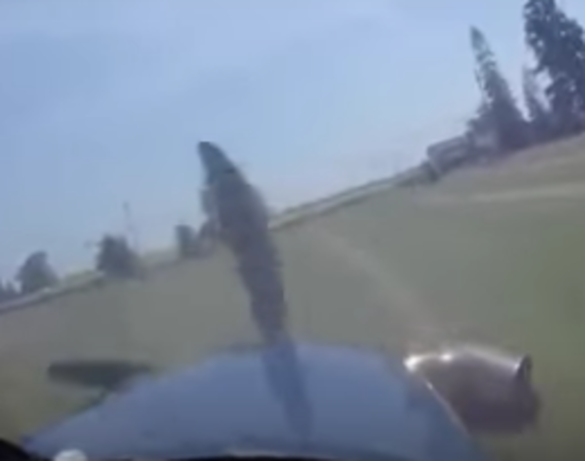 A Helmet Camera Captures 17 Skydivers Surviving A Plane Crash Mens