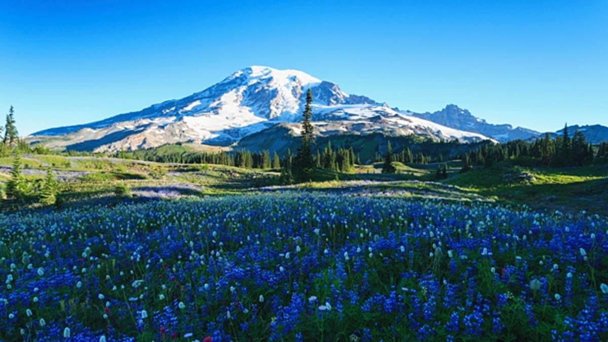 Mount Rainier National Park: Over 230,000 acres of natural beauty