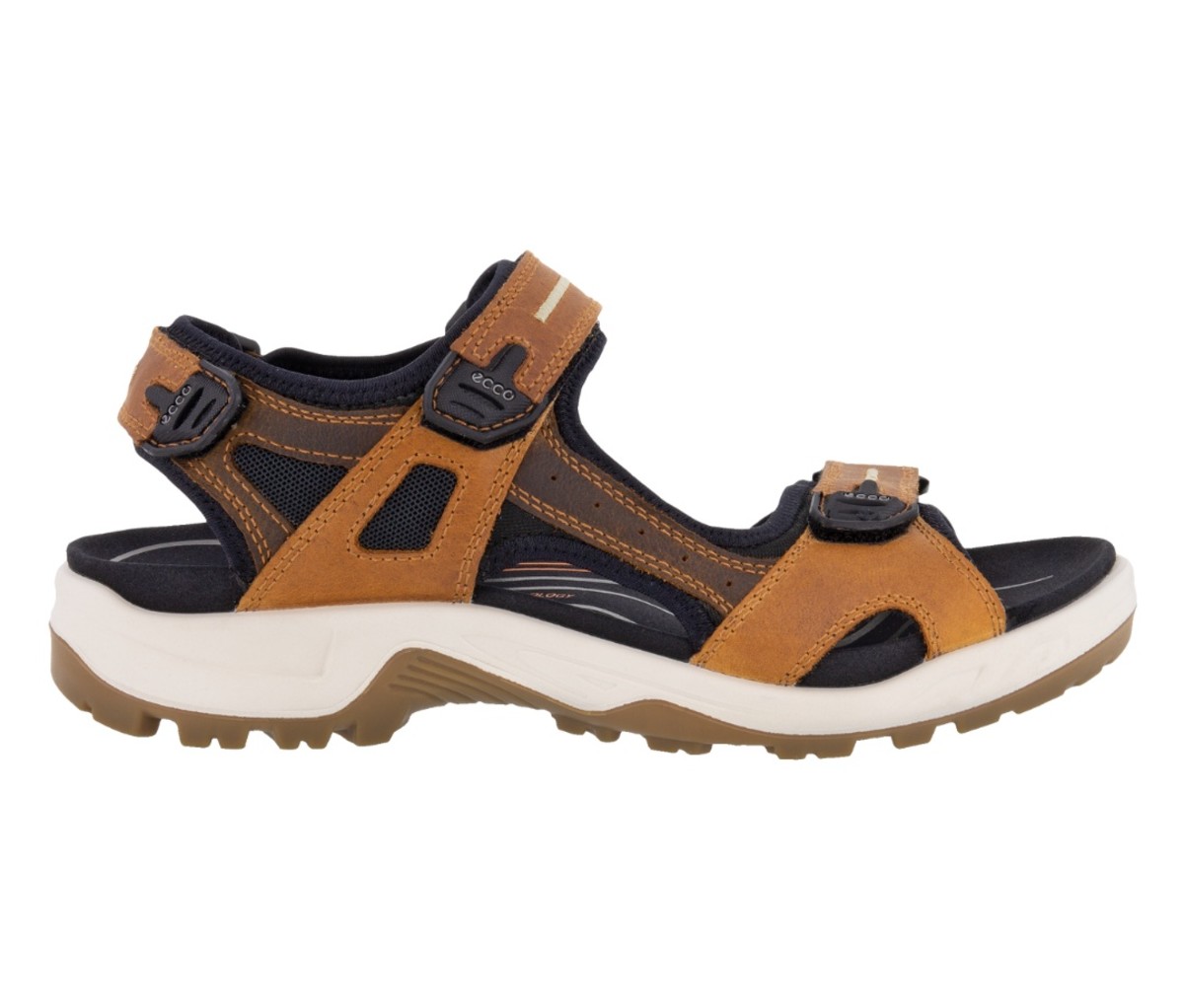 Chaco Classic vs. Cloud: A Review of Chaco's Two Popular Hiking Sandals
