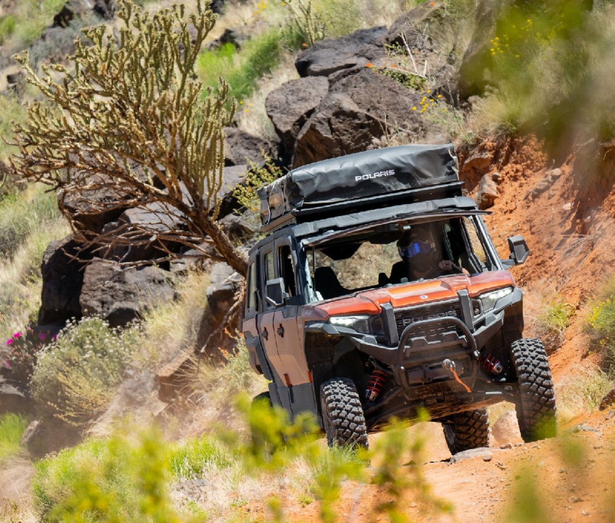 Rooftop Tent  Polaris XPEDITION