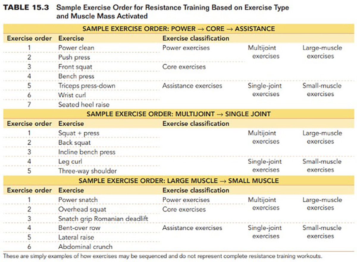 5 Best Personal Trainer Certifications - The Indisputable Expert’s ...