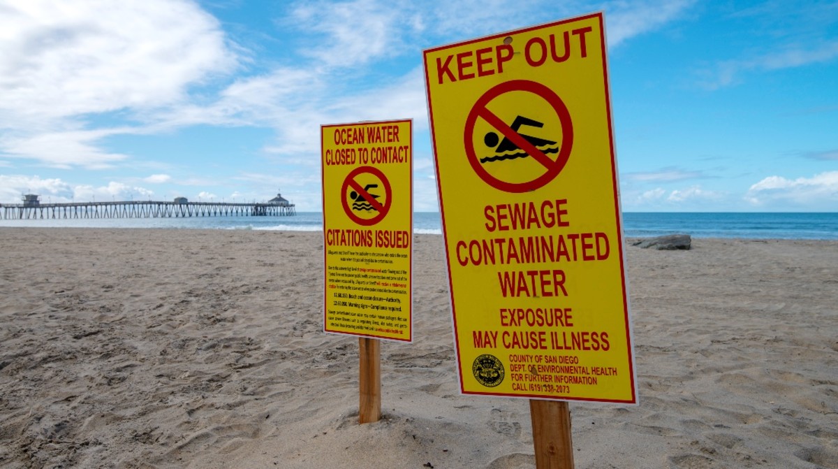 Fecal Contamination Found at Over Half of U.S. Beaches - Men's Journal