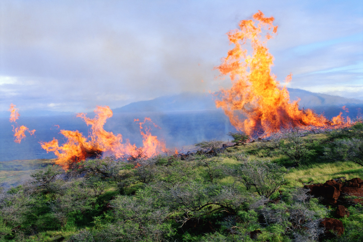 Maui Fires Burn Important Hawaiian Historical Sites Men's Journal