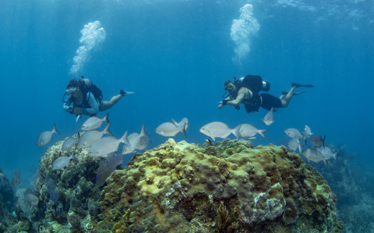 A Complete Guide to Diving the Florida Keys - Men's Journal