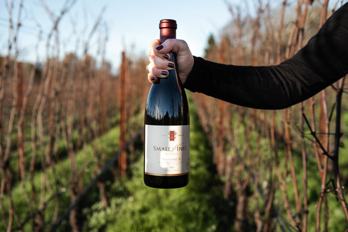 Small Vines Introduces the Inaugural vintage of the 2021 Shining S