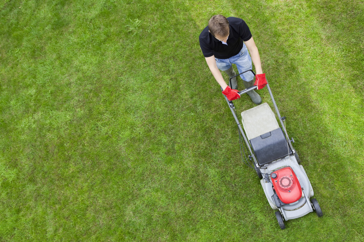 Should I Still Be Fertilizing My Lawn in September? - Men's Journal ...