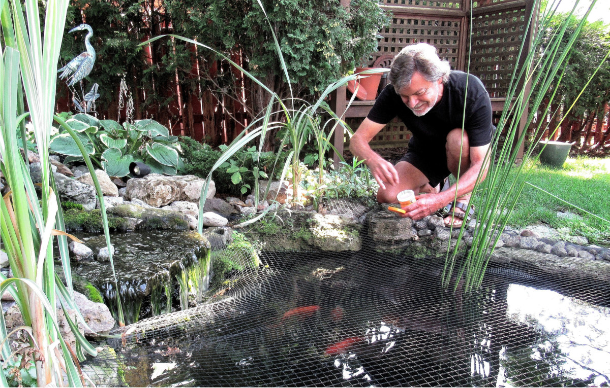 How to Winterize Your Backyard Pond - Men's Journal | Home Living Handbook