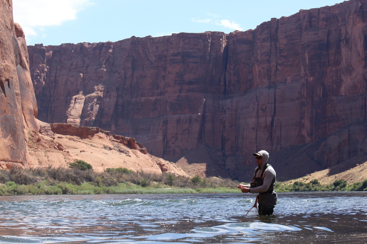 Stretch of Colorado River offers spectacular vistas, fishing – The