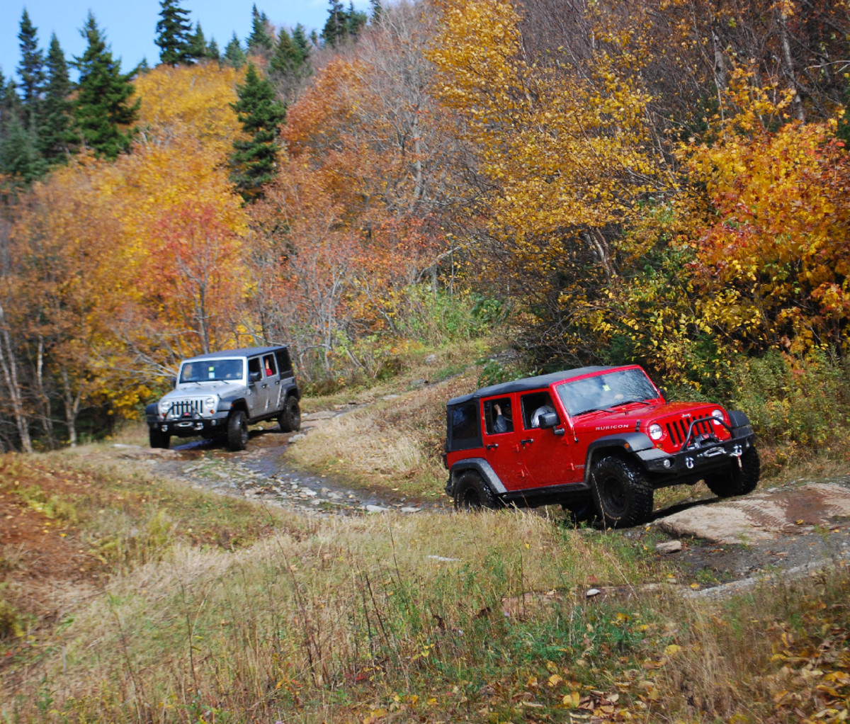 Do You Have the Skills You Need to Go Off-Road?