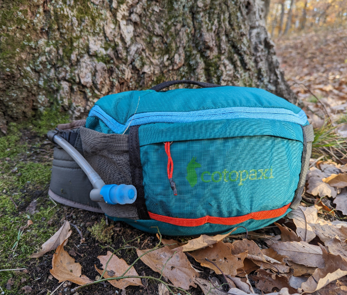 Lagos 5L Hiking Hydration Hip Pack – Cotopaxi