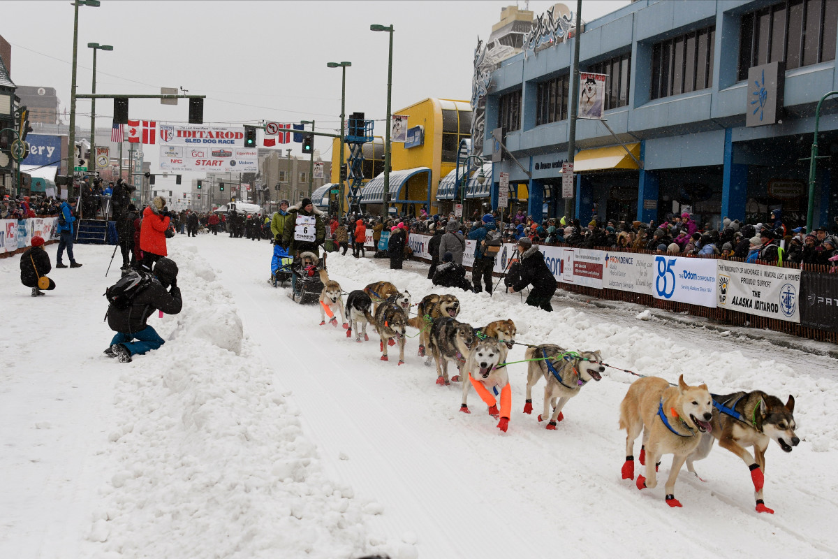 4-Year-Old Pregnant Dog Dies in Alaska's Iditarod Race - Men's Journal