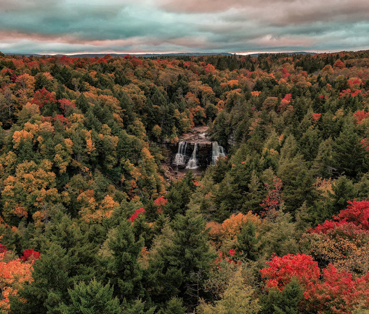 Blackwater Falls State Park