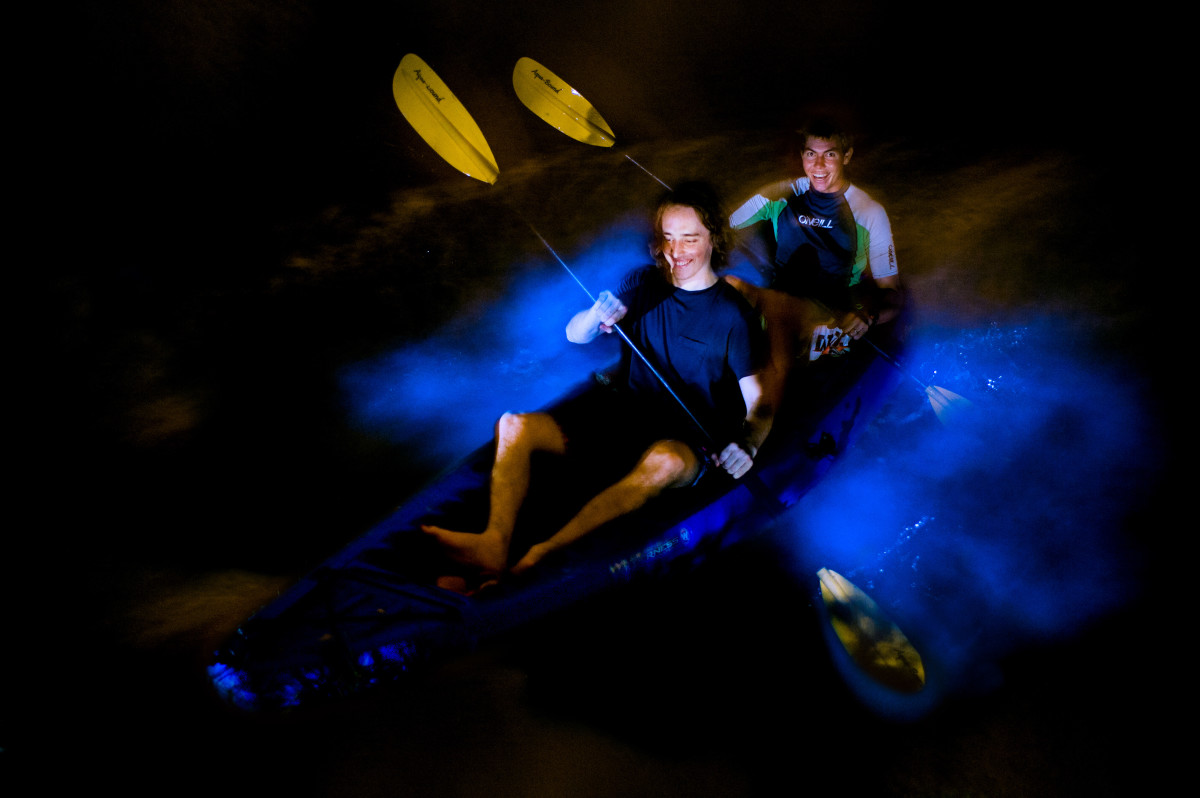 cayman bioluminescent kayaking kayaks