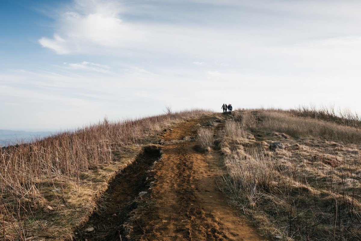 Black Balsam Knob