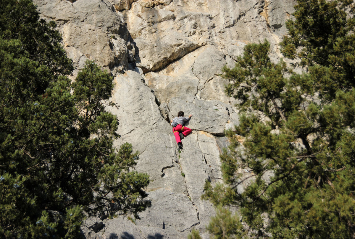 free solo