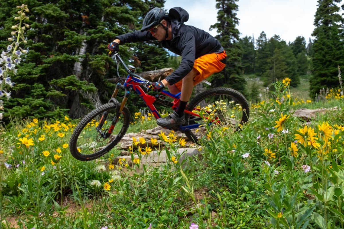 grand targhee bike park