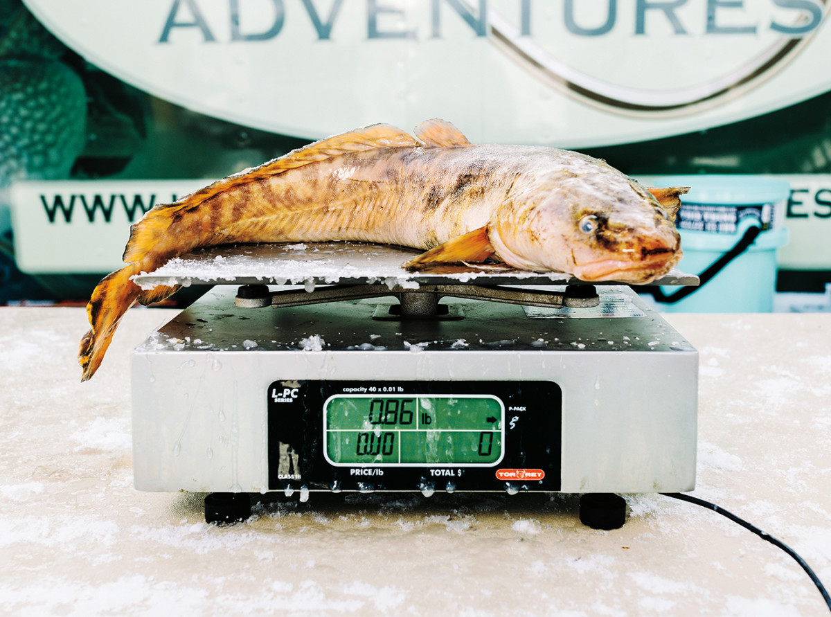 Inside the World’s Craziest Icefishing Party Eelpout Festival