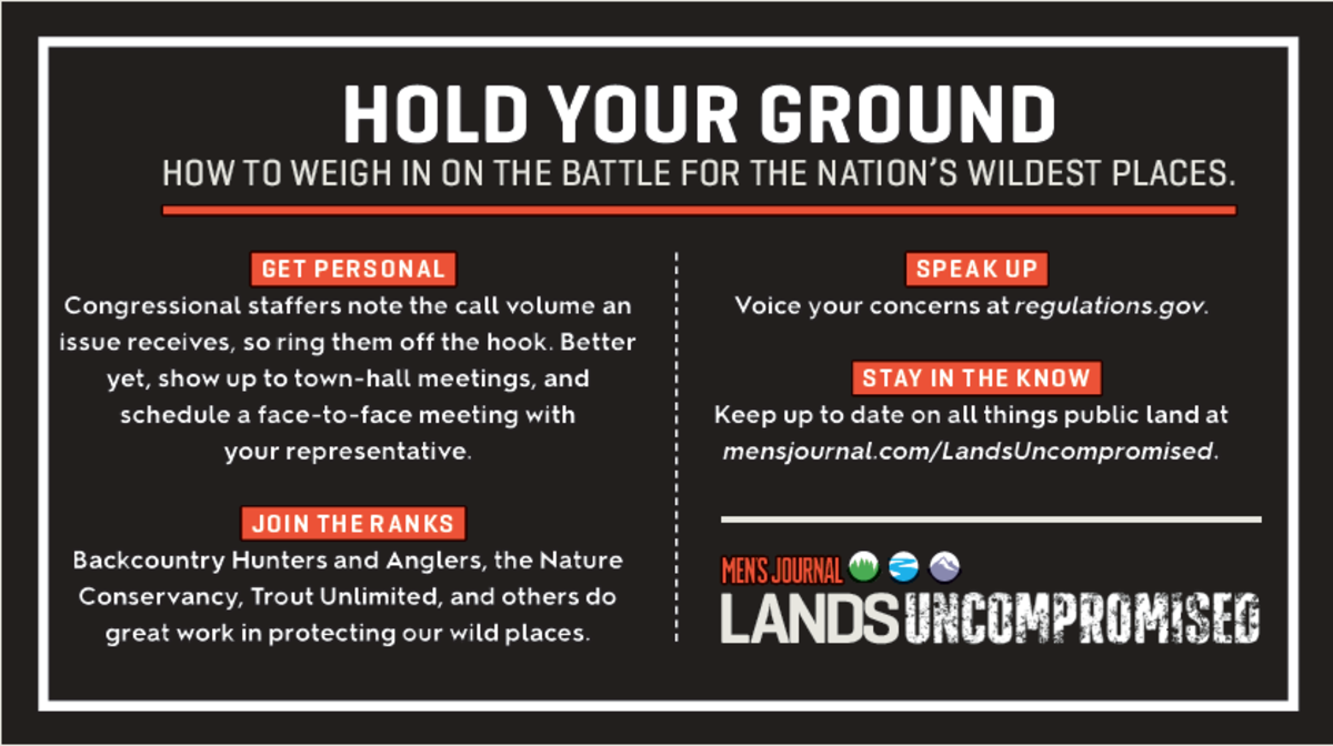 Public Lands Infographic