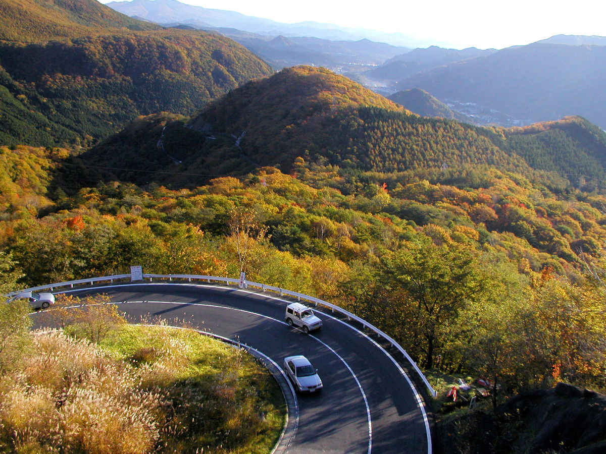 nikko shikinejima