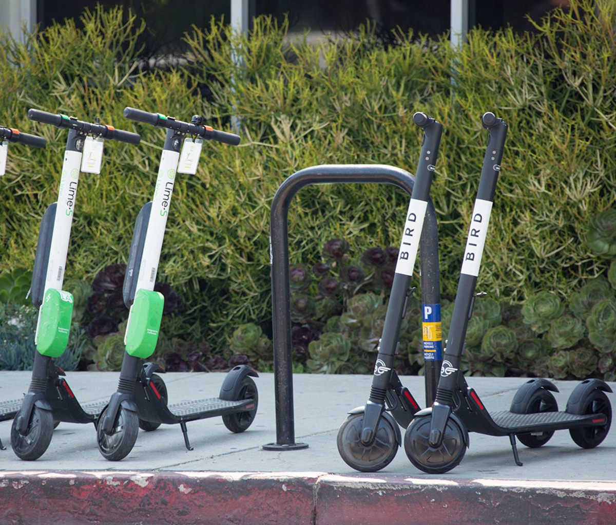 Lime and Bird electric scooters in Los Angeles, CA