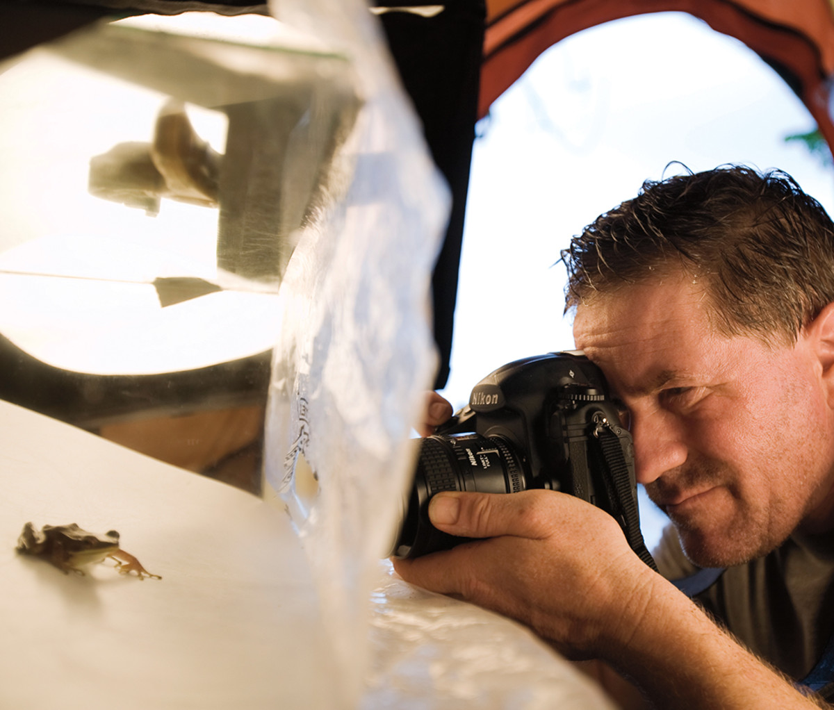 Sartore photographing a frog.