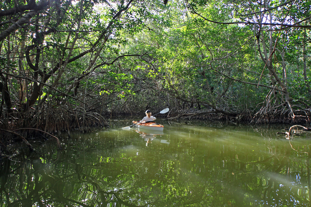 Why Everglades National Park Deserves Your Attention Men S Journal