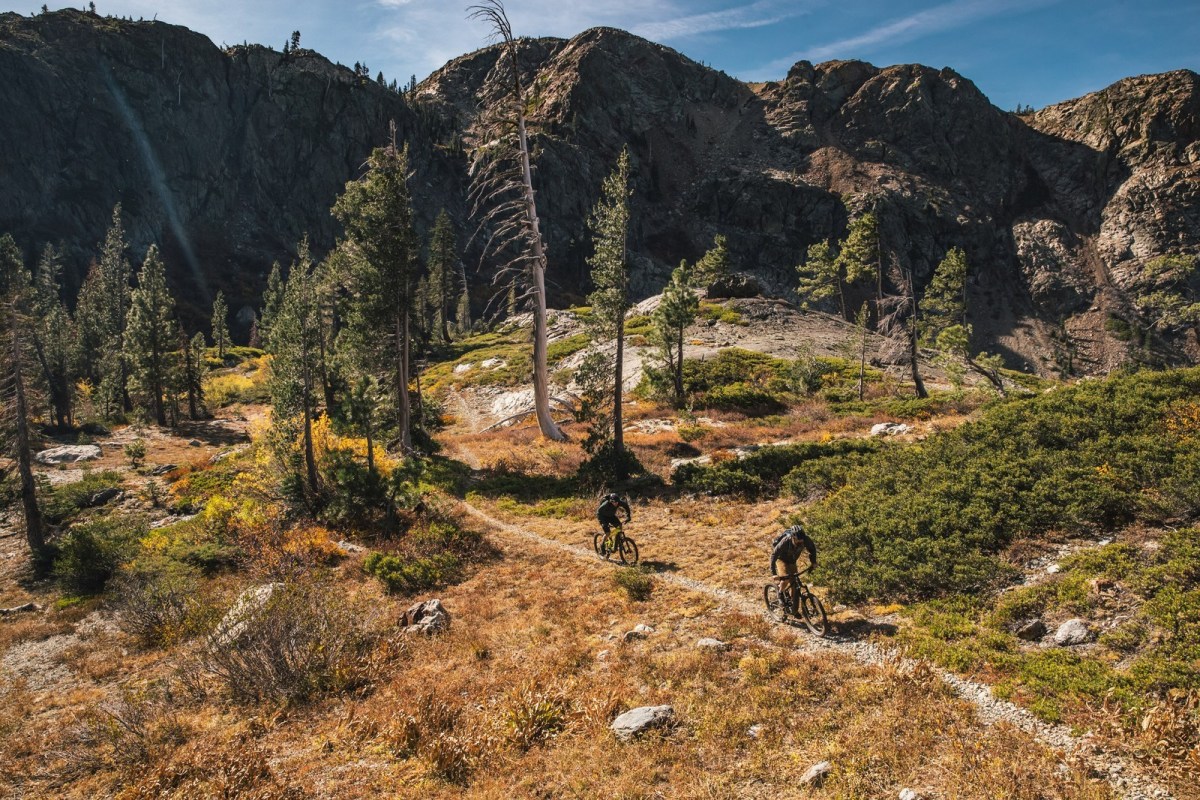 santa cruz bikes