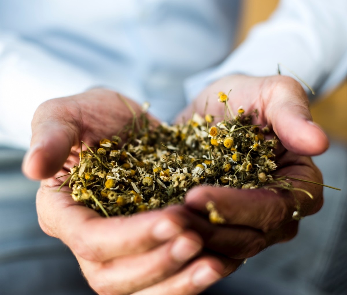 Flowers for biodynamic winemaking