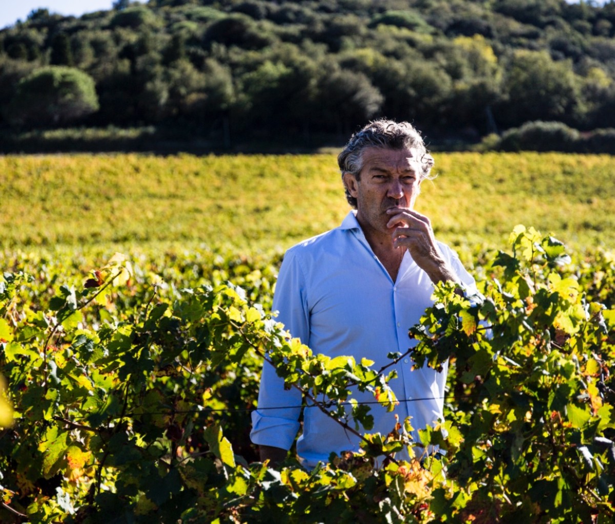 Gérard Bertrand in vineyard