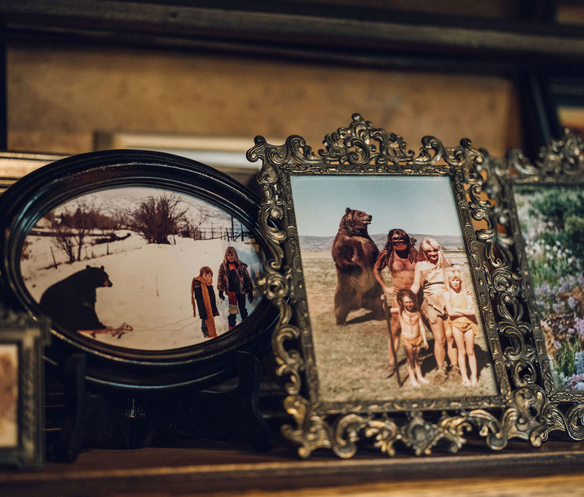 Family photos, bears included