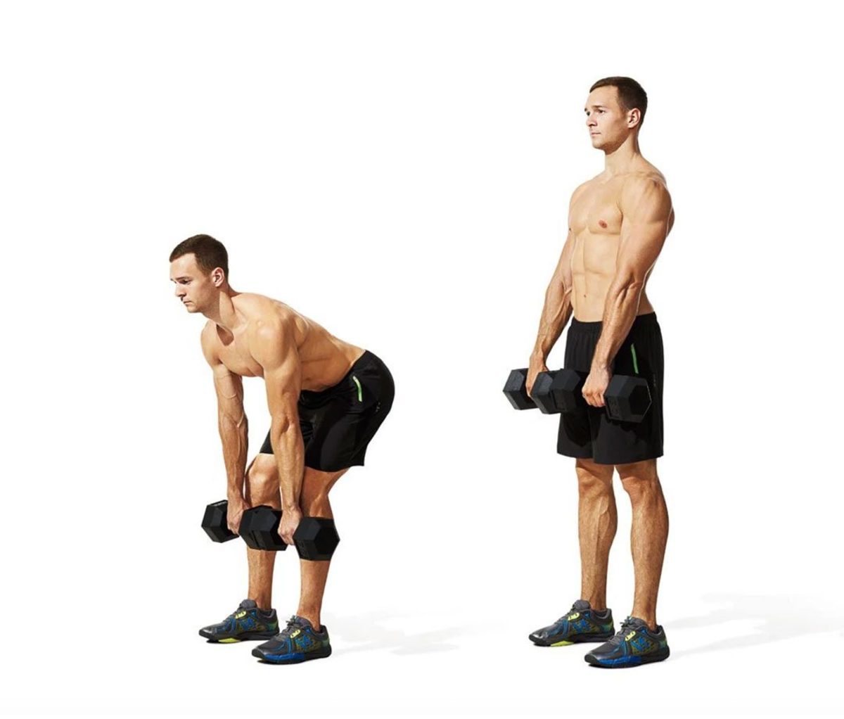 Dumbbell Deadlift