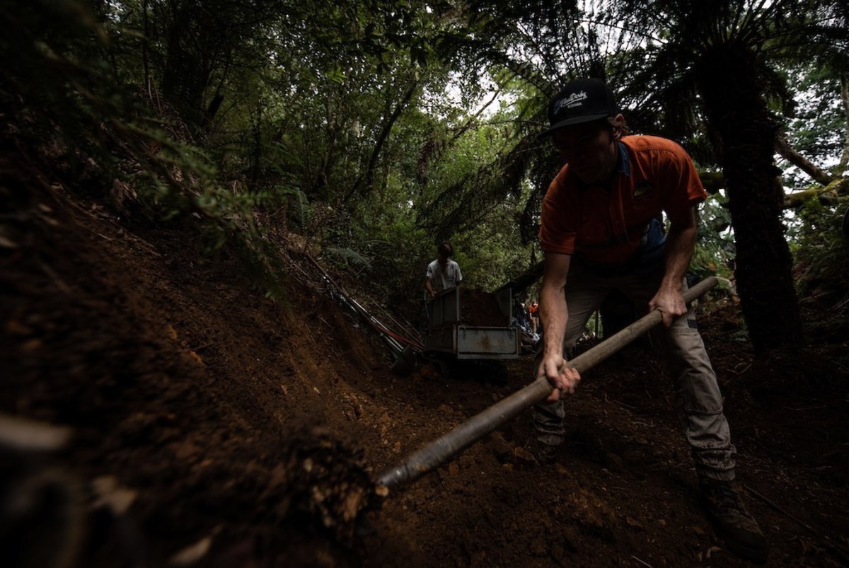 soil searching