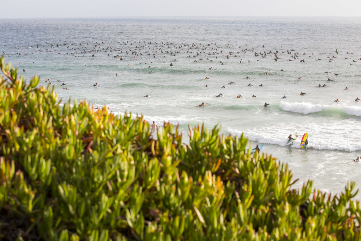 moonlight beach