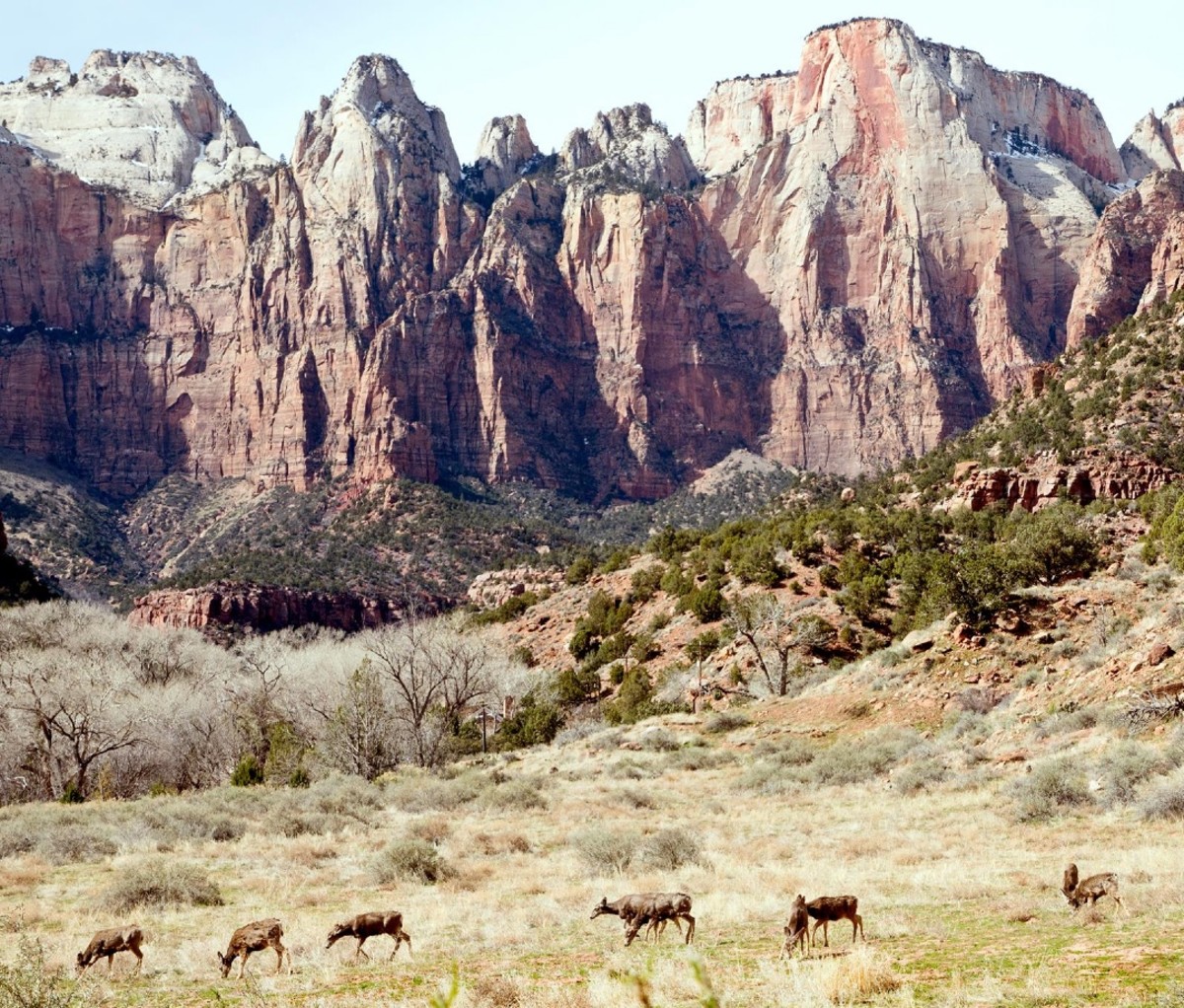 Zion National Park 