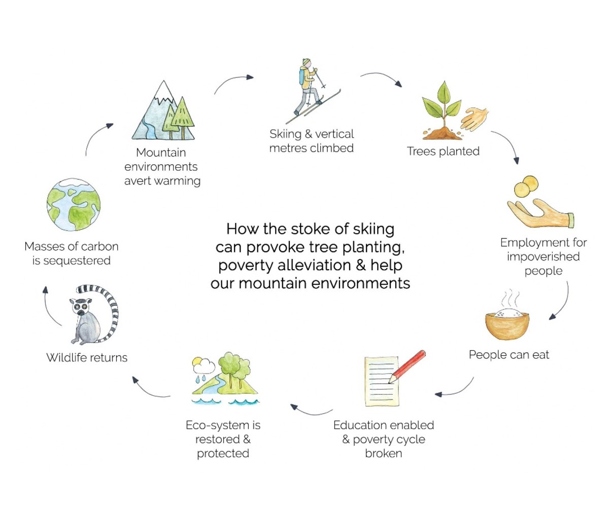 Flow chart on how skiing can help reforestation efforts