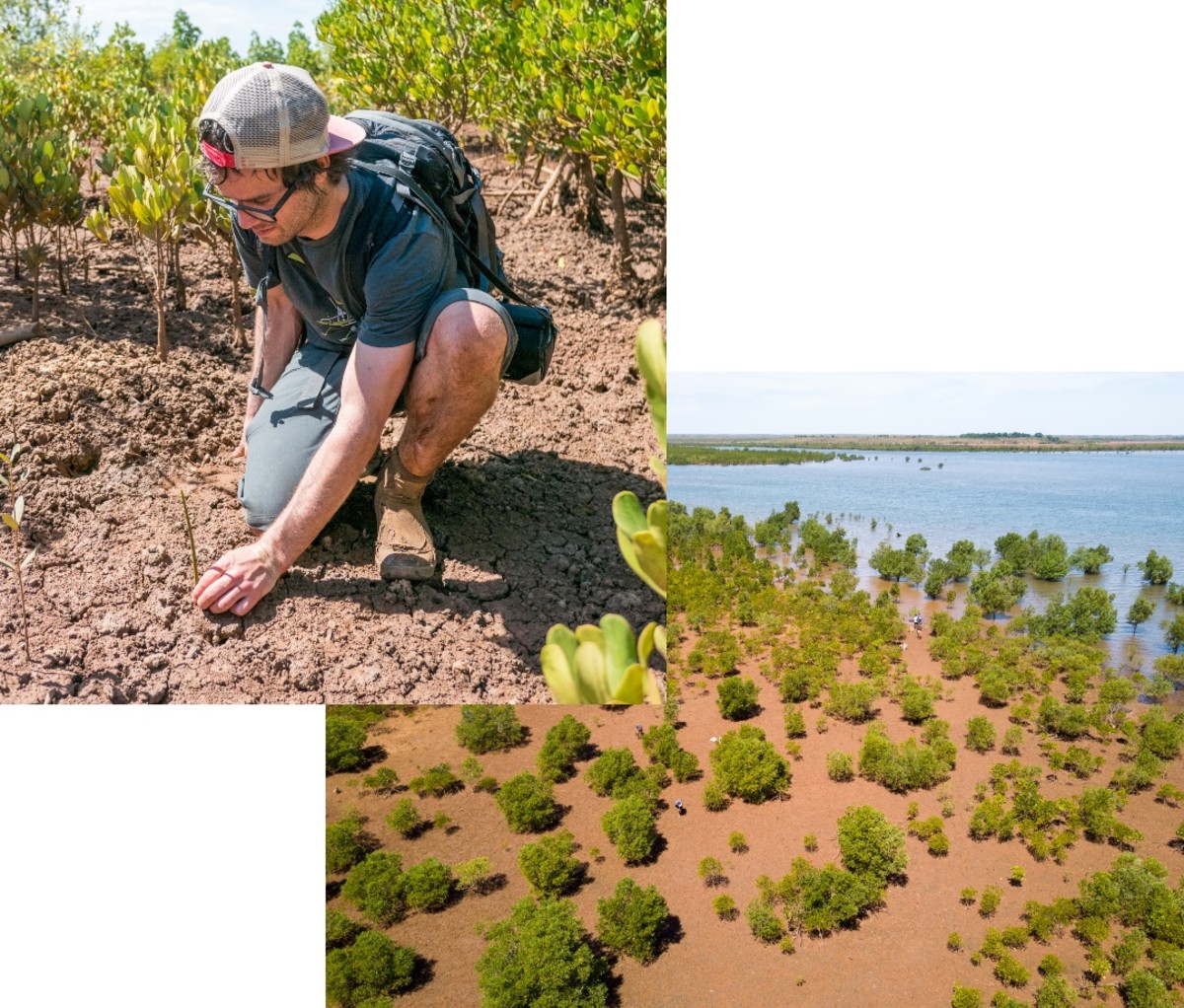 Pete Oswald planting mangrove trees in Mahajunga, Madagascar