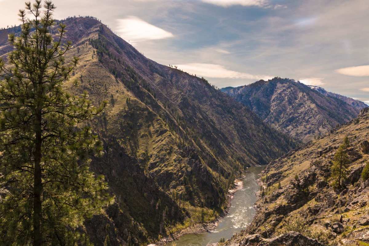 Deep canyons of the Main Salmon river wilderness idaho