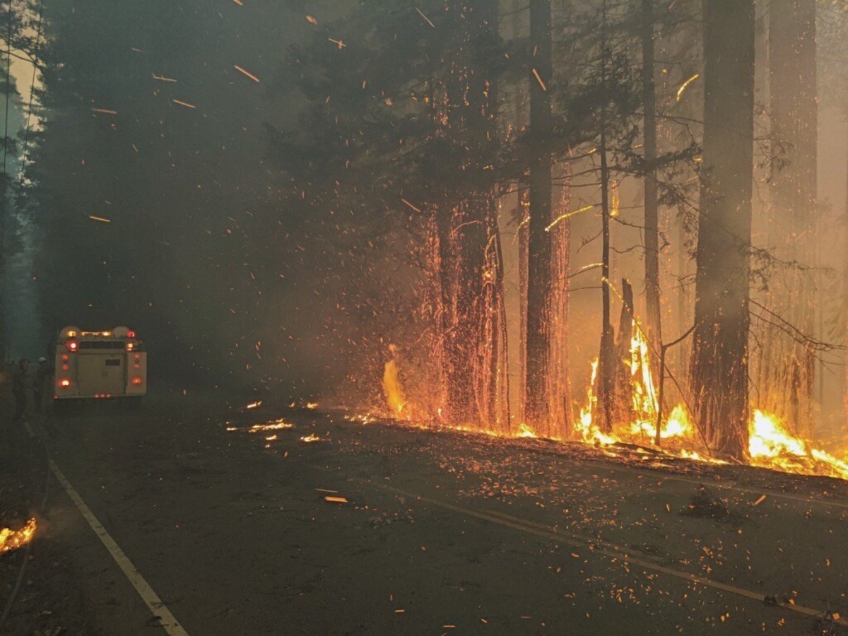 santa cruz fire