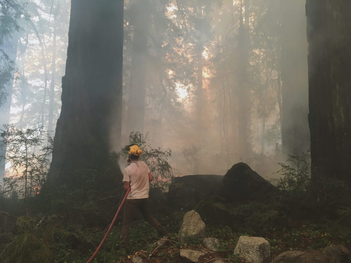 santa cruz fire