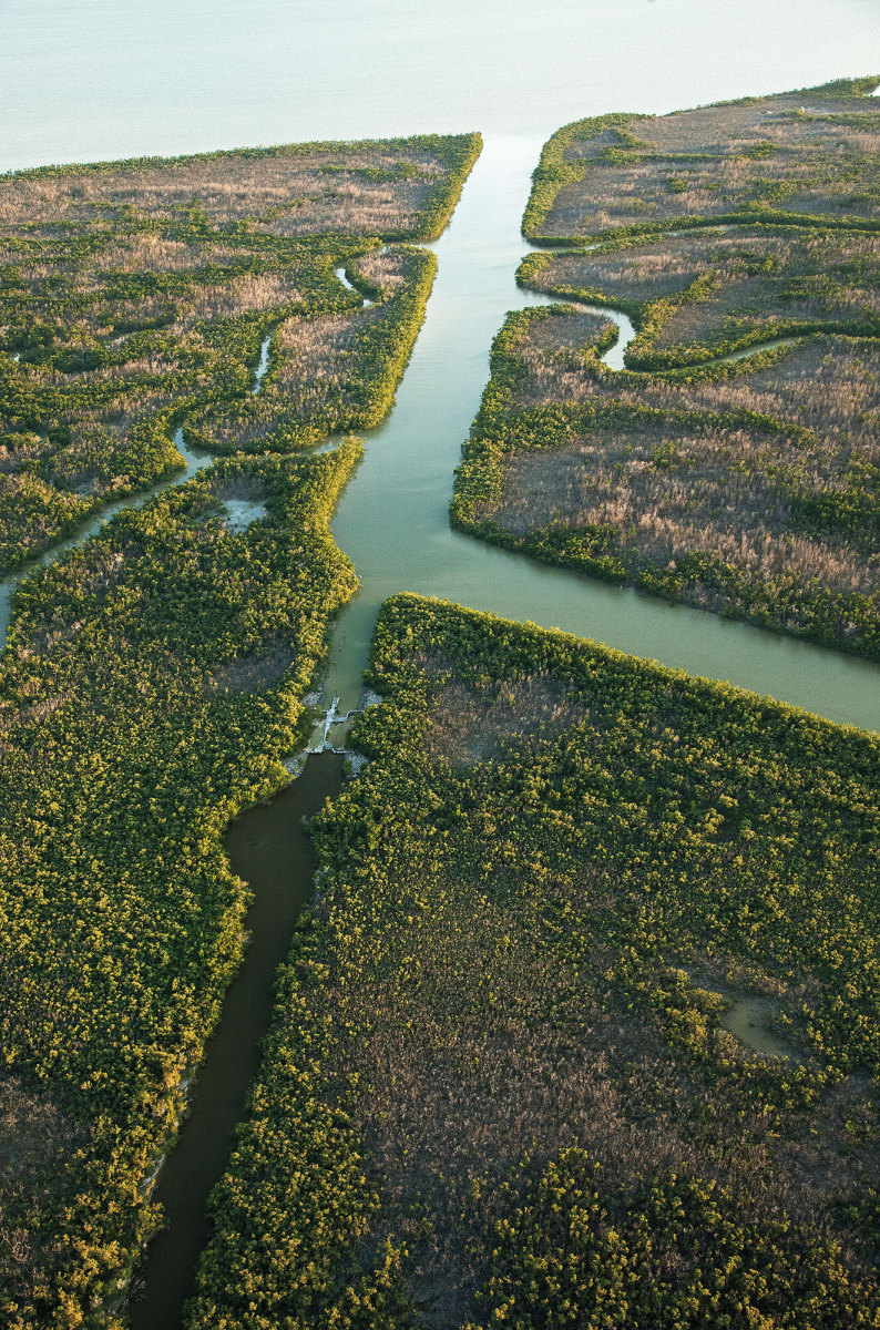 Bird's eEnd of the East Cape Canal near Cape Sable (note the dam holding back encroaching saltwater).ye view of the Everglades. 