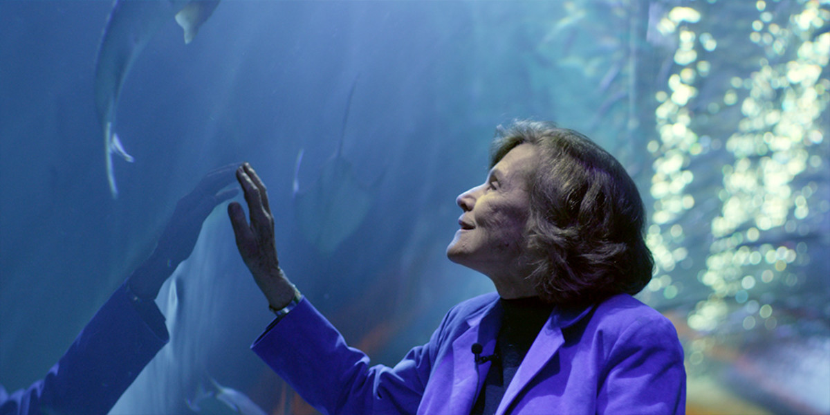 Sylvia Earle marine biologist