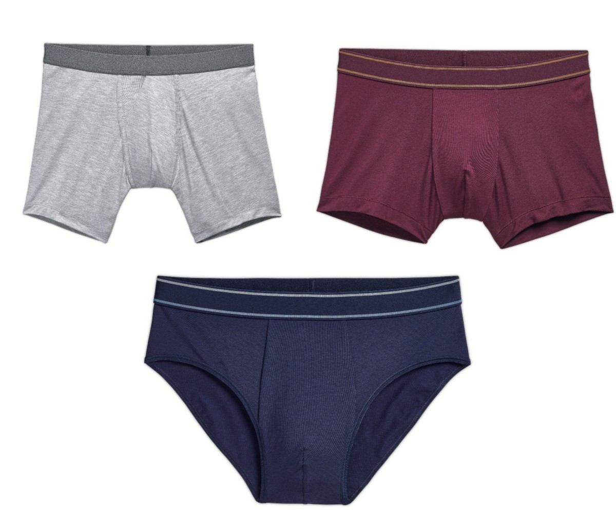 Bombas brief, trunk, and boxer-brief silhouettes